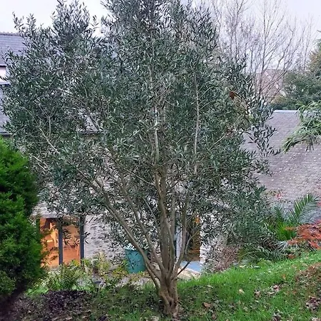 Le Gite De Francois - Second Souffle - Urville